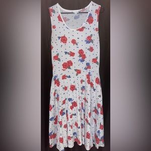 LuLaRoe Nicki Dress